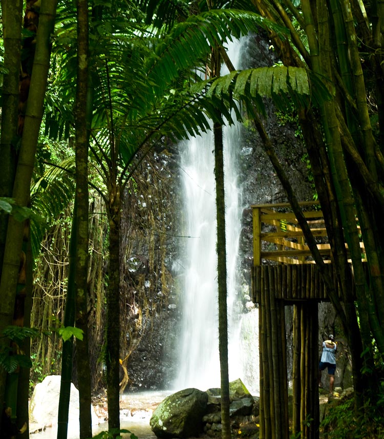 darkview falls